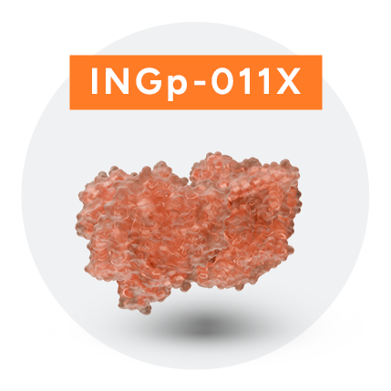 INGp-011X