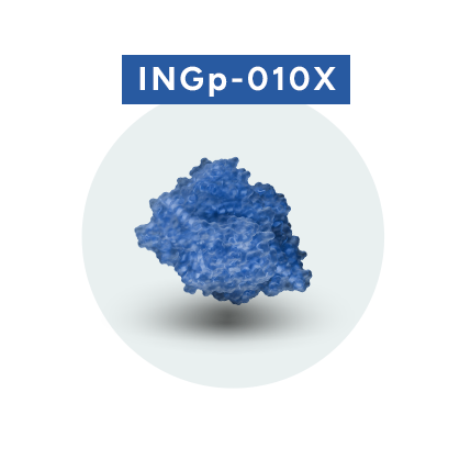 INGp-010X